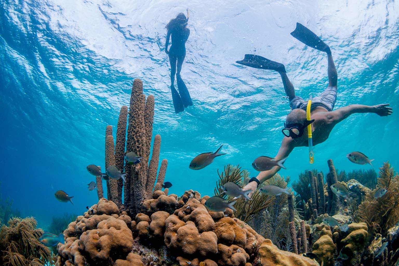 An Image of two persons snorkeling on bonaire showcasing the beautiful underwater scenery.