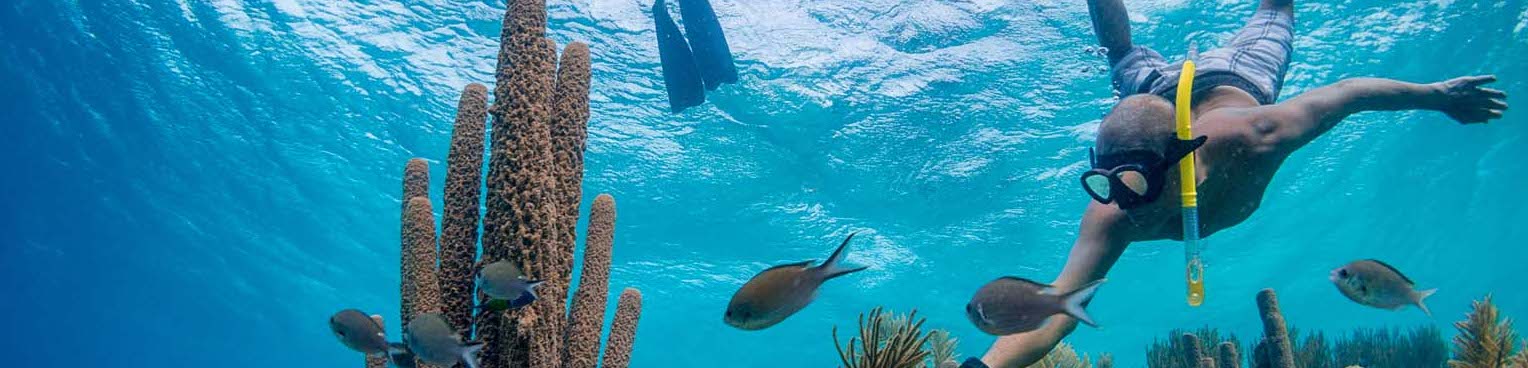 Man die snorkelt op bonaire in de kleurrijke onderwaterwereld